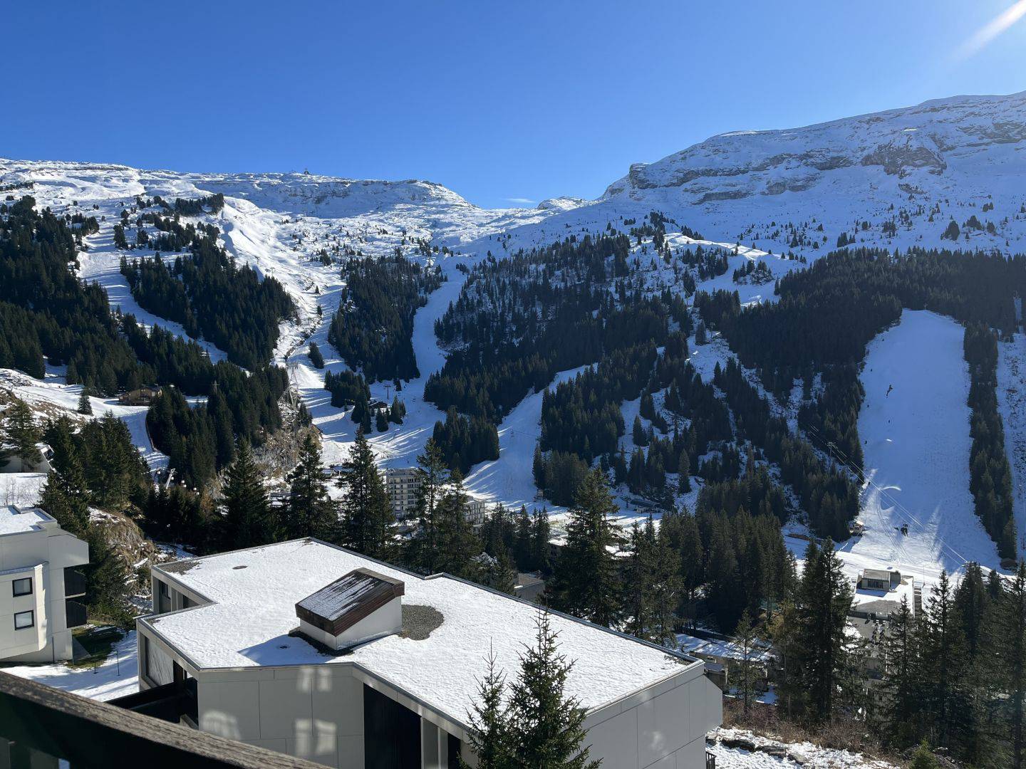 58801911 FLAINE