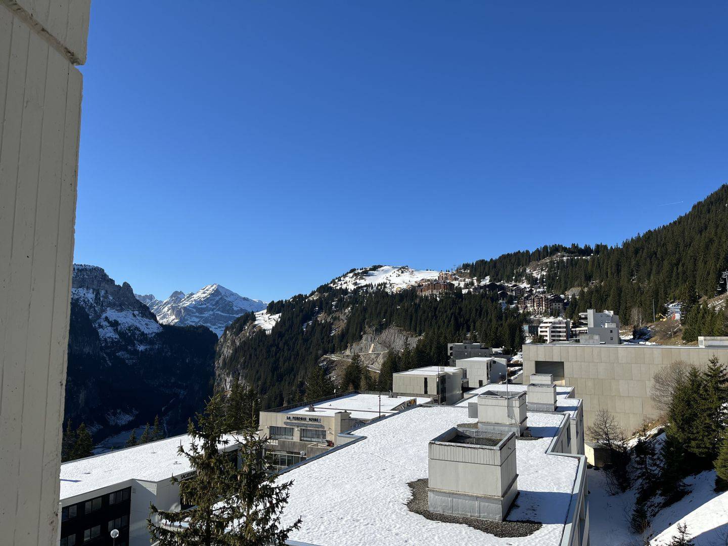 58801911 FLAINE