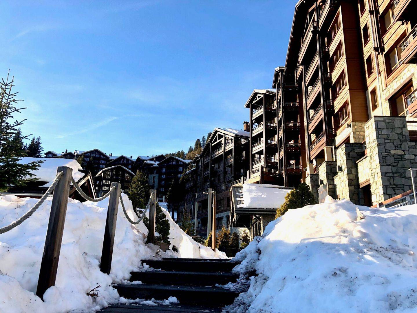58801770 FLAINE