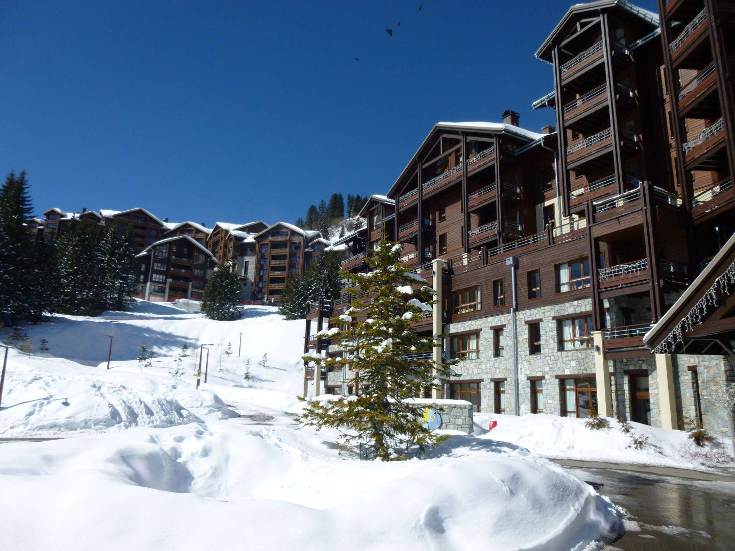 3 PIECES avec CHEMINEE COTE FORET dans RESIDENCE DE TOURISME 5* PIED DES PISTES