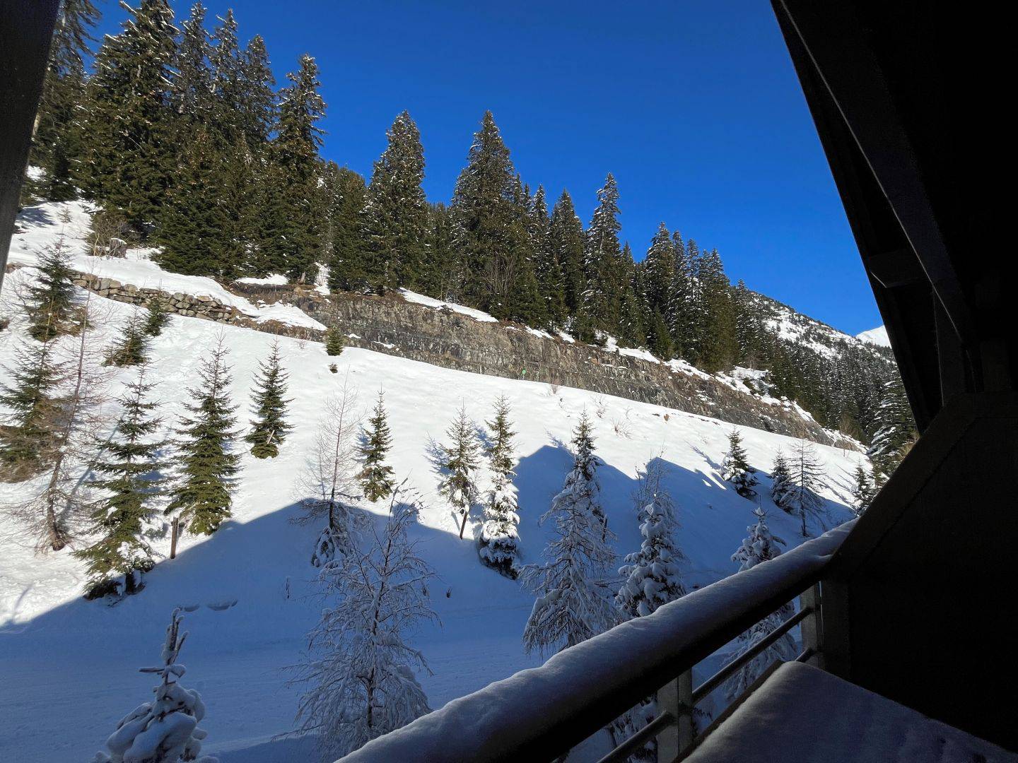 3 PIECES avec CHEMINEE COTE FORET dans RESIDENCE DE TOURISME 5* PIED DES PISTES