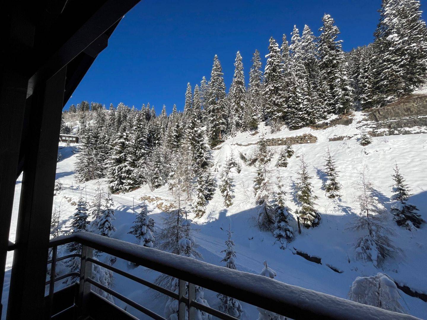3 PIECES avec CHEMINEE COTE FORET dans RESIDENCE DE TOURISME 5* PIED DES PISTES