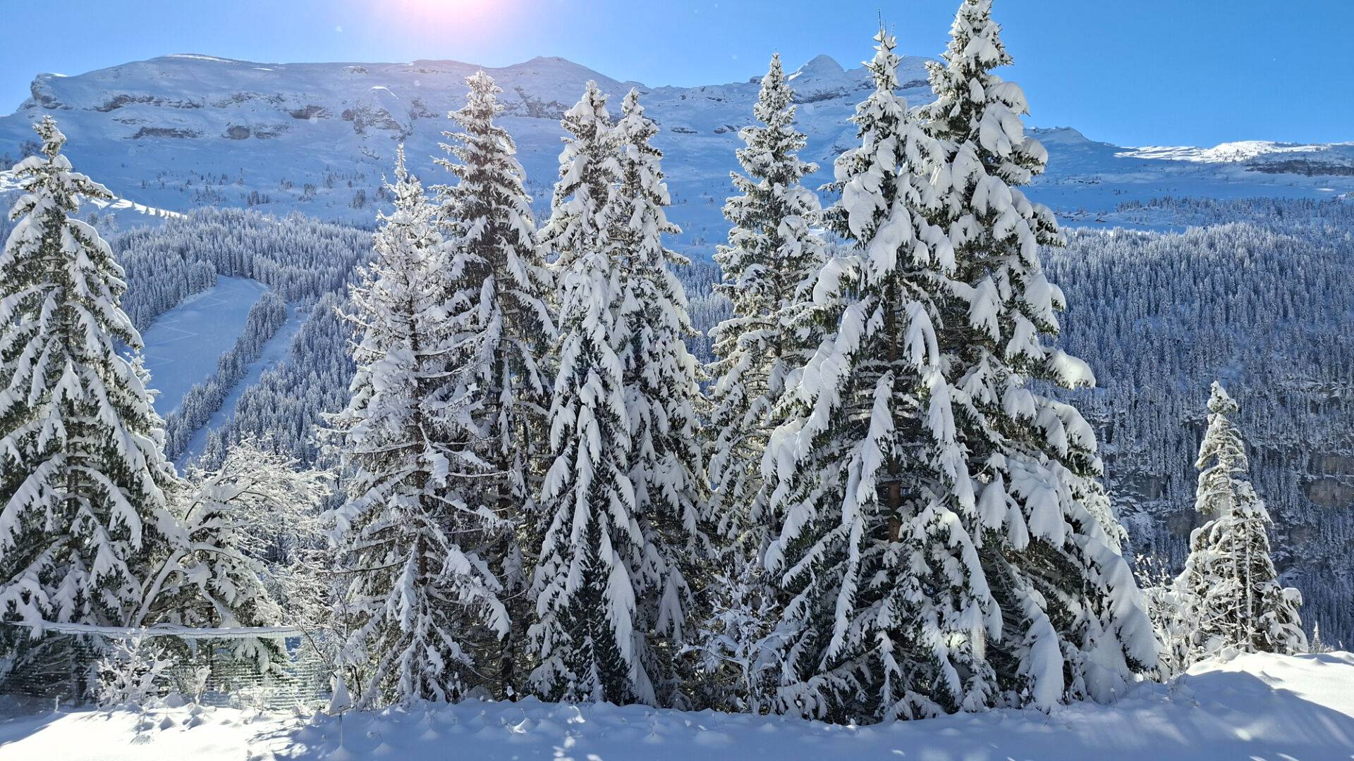 3 PIECES CABINE SUD avec BALCON et PARKING COUVERT