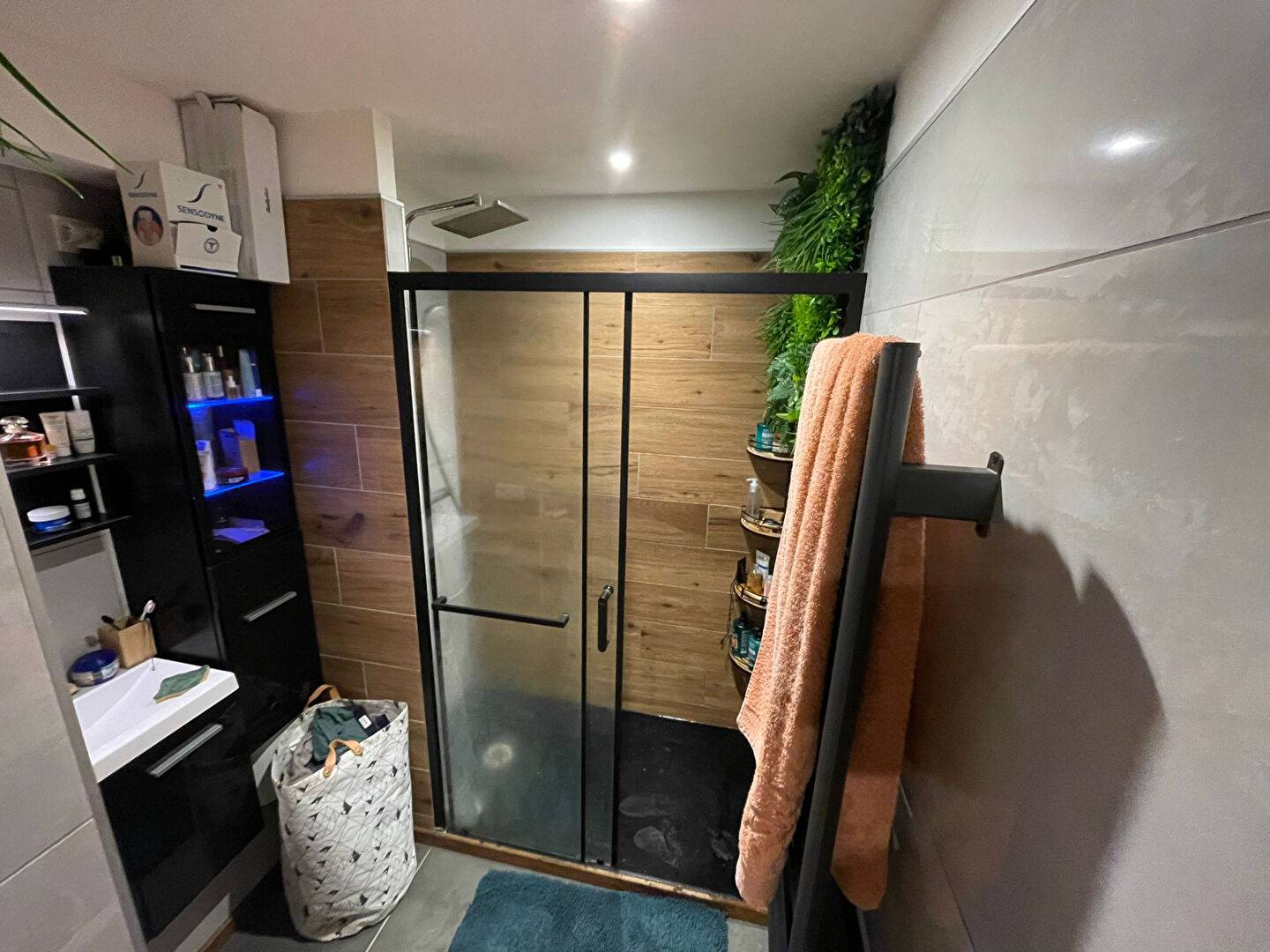 APPARTEMENT T2 RESIDENCE LES PISTES