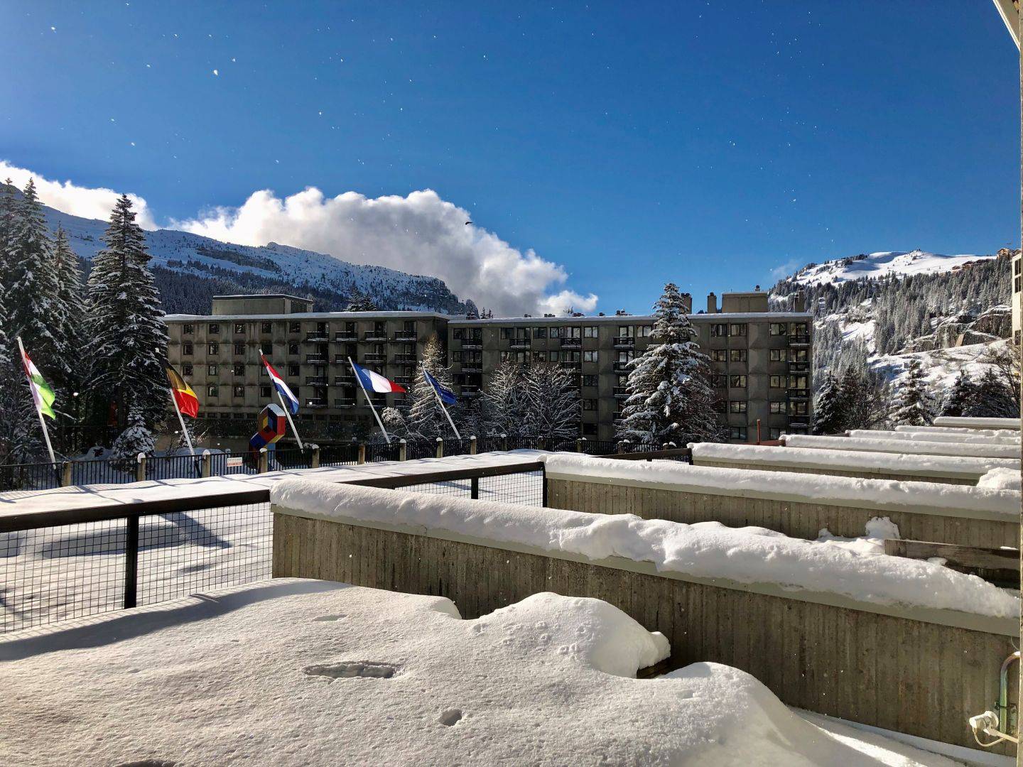 58801890 FLAINE