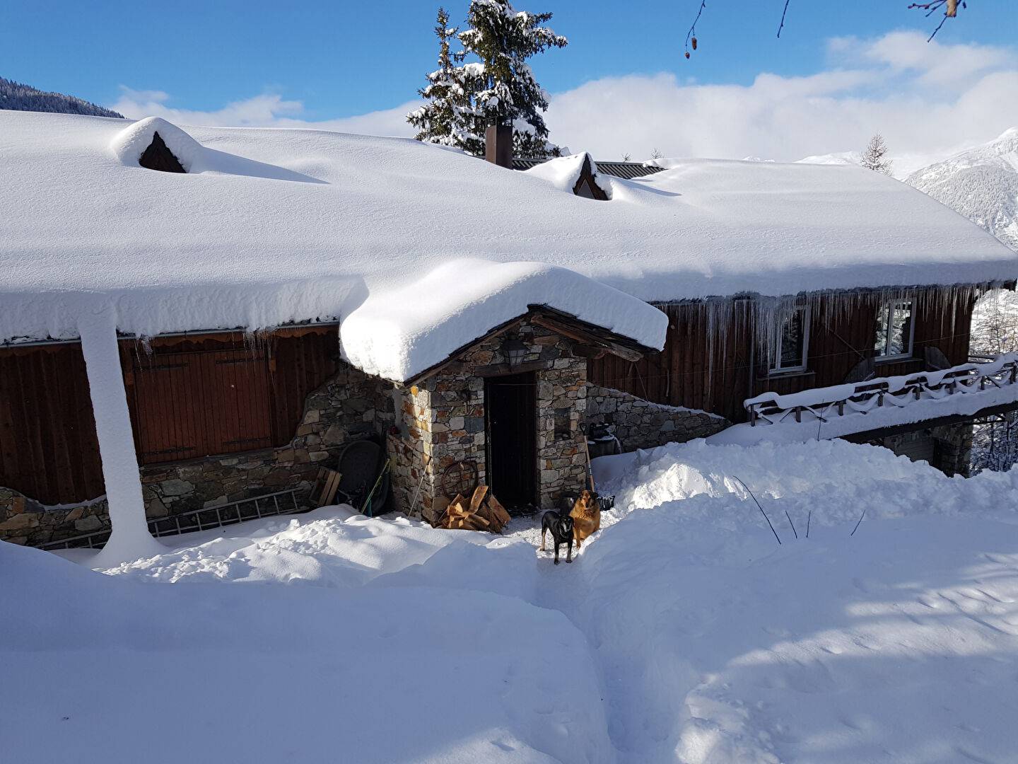 61073905 LA PLAGNE TARENTAISE
