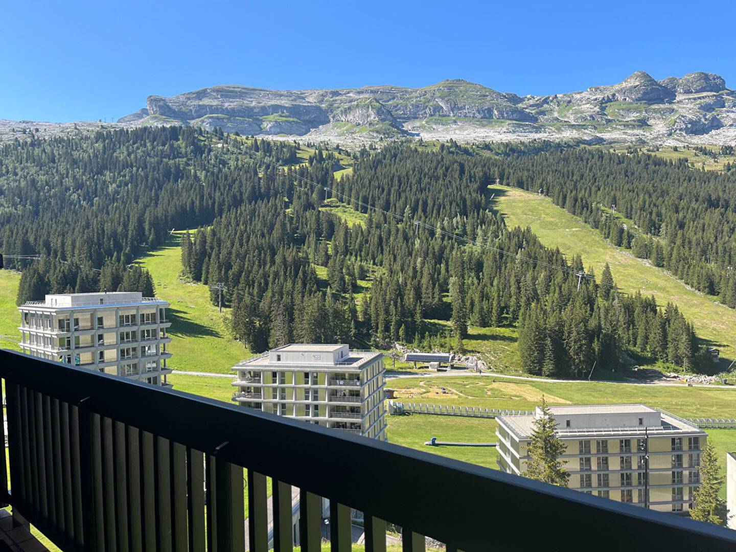 61180156 FLAINE