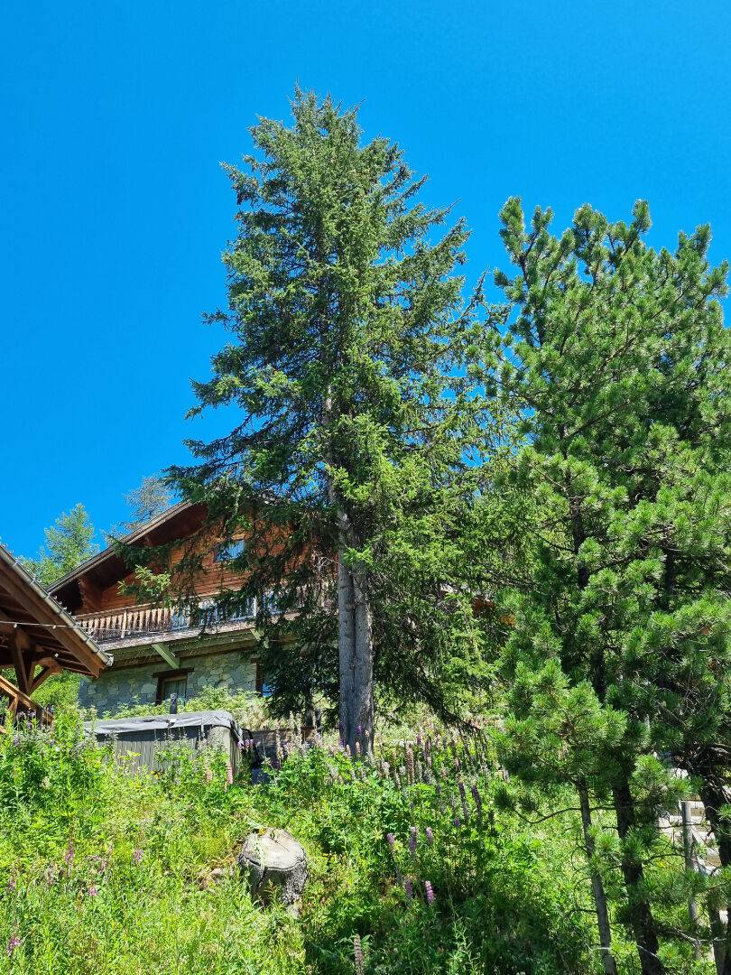CHALET INDIVIDUEL D'HABITATION 180 m² + sous pente PLAGNE 1800