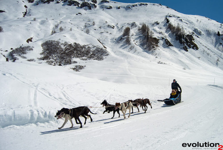 _Chiens de traîneau Val d'Isère-4