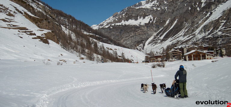 Balade en chiens de traîneau