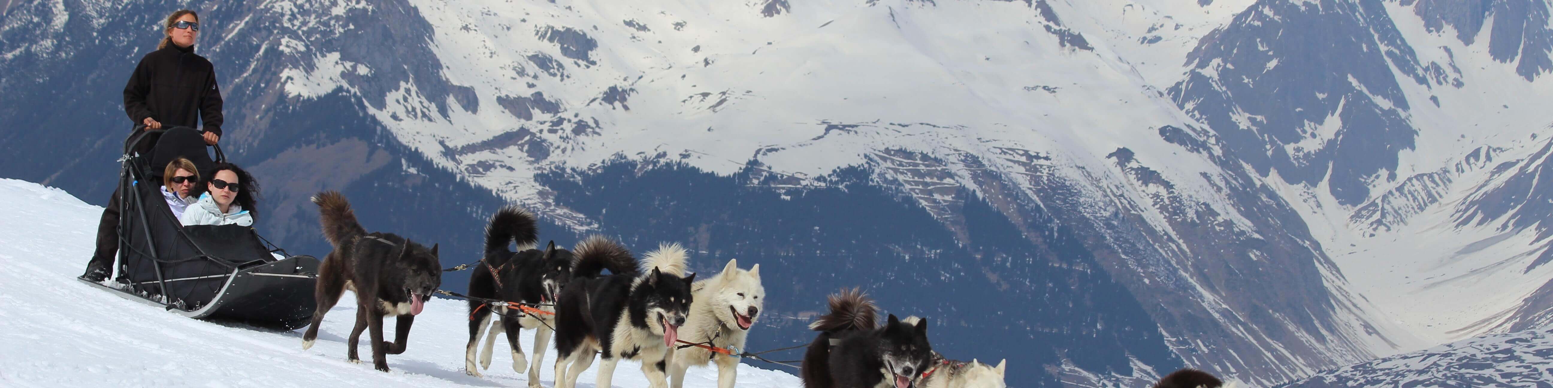 husky3__060103500_1826_26012016