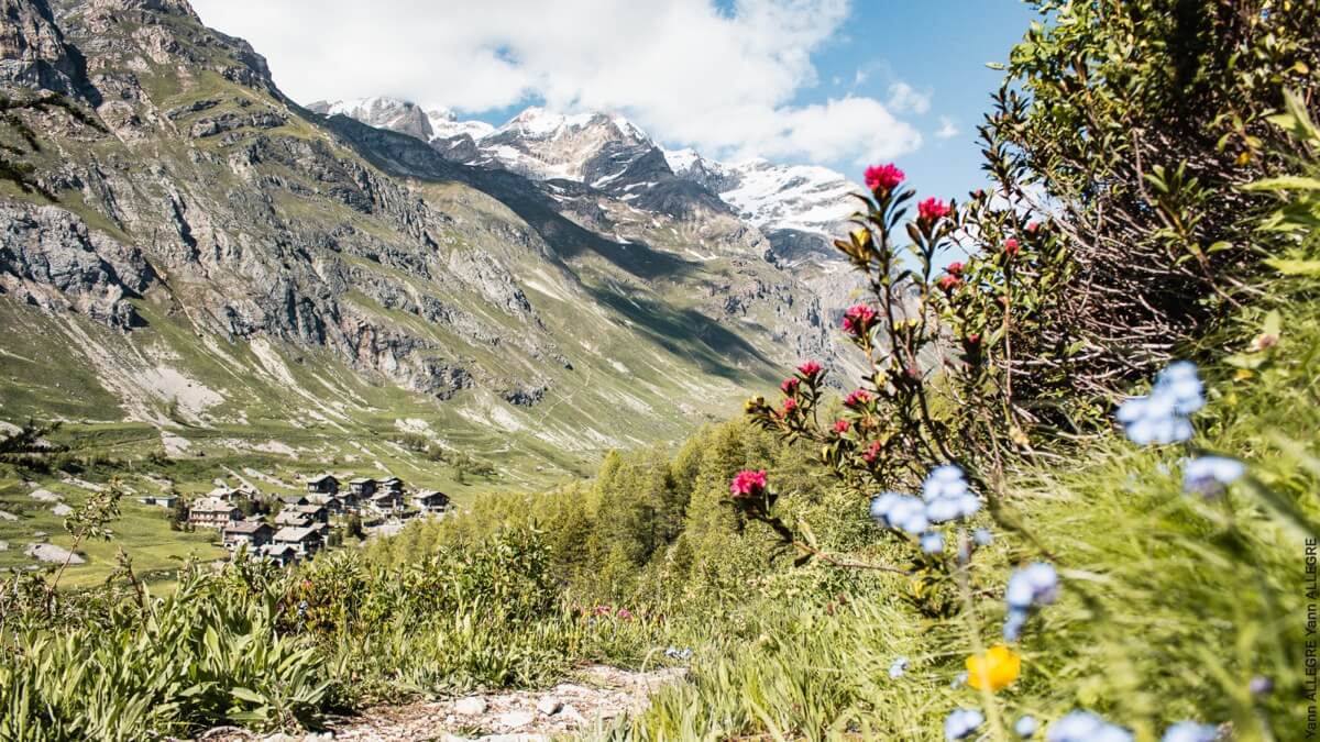 Montagne été