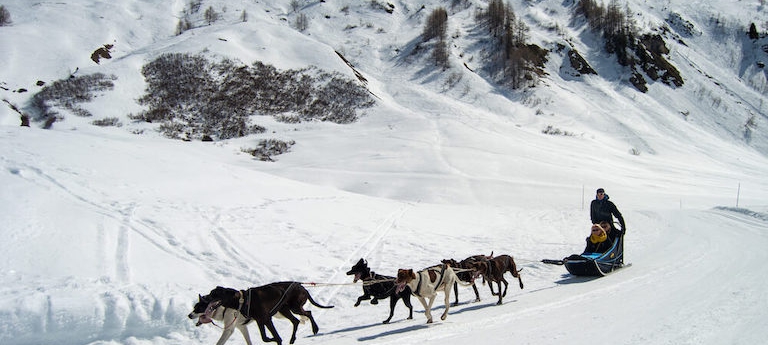 _Chiens de traîneau Val d'Isère-4