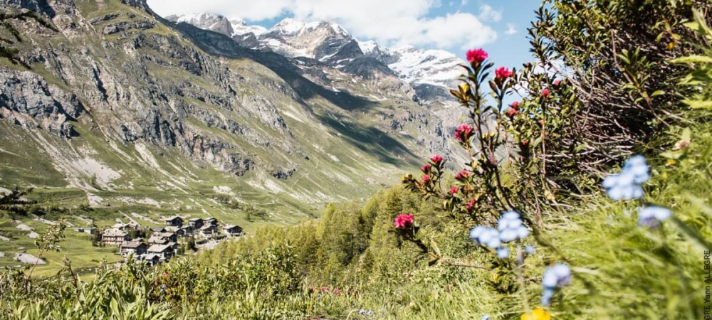 Montagne été