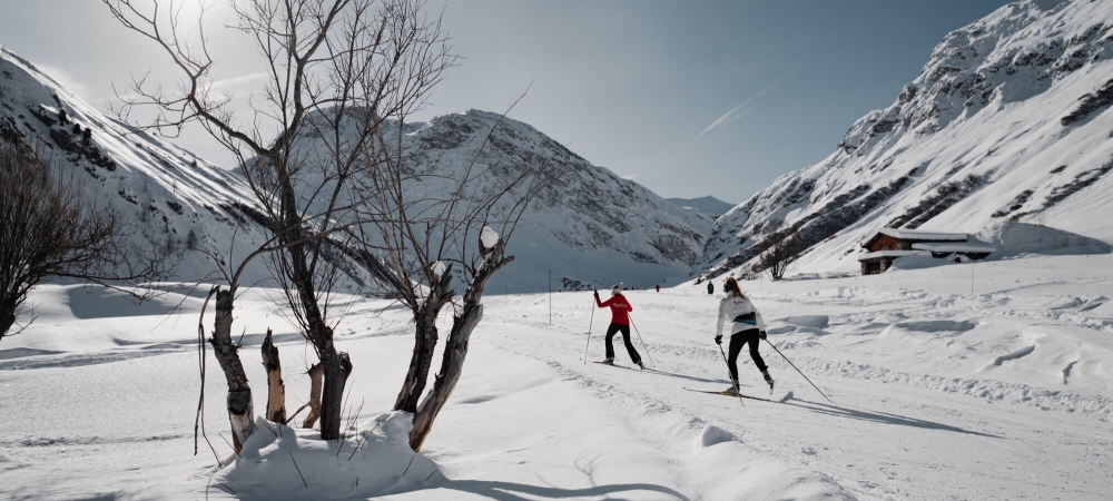 Ski de fond