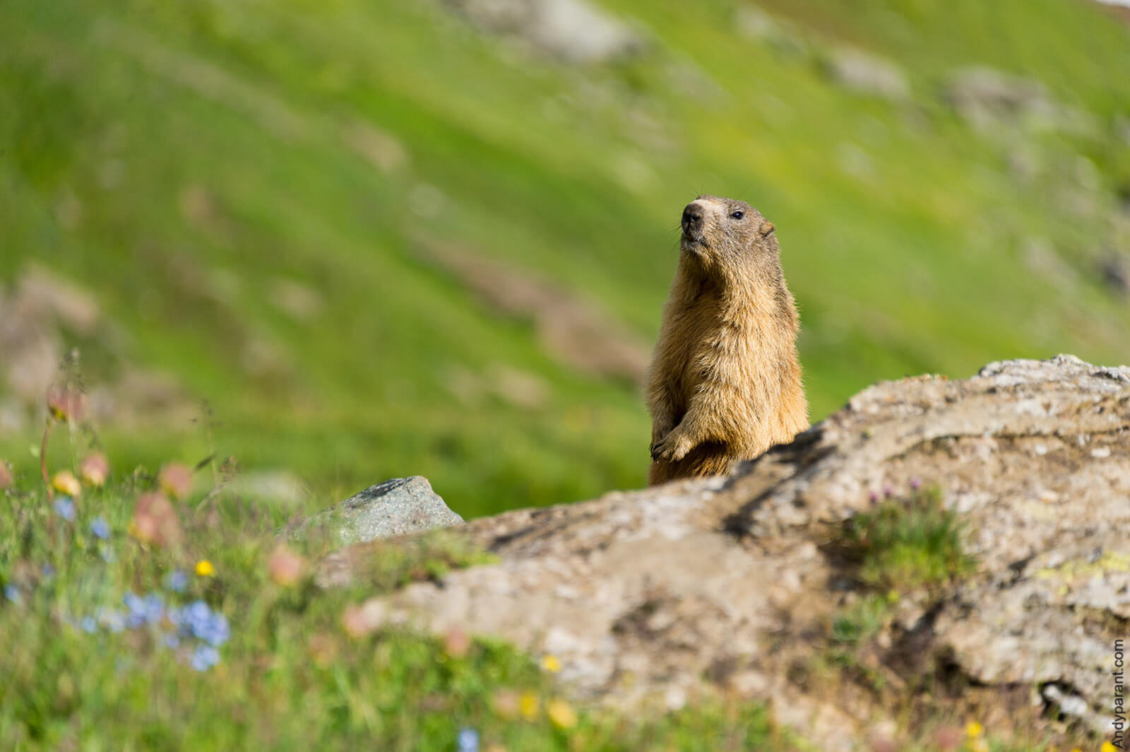 Parc de la Vanoise